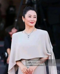 辛芷蕾夺威尼斯电影节影后，赵涛威尼斯披风加身