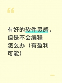 有好的软件灵感，但是不会编程怎么办（有盈利可能）