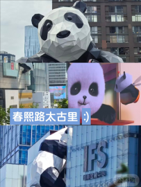 成都旅游攻略👉和熊猫贴贴，吃遍d道美食
