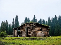在库尔德宁躺平两天，伊犁东方之星旅行社带我们摸到了草原的心跳