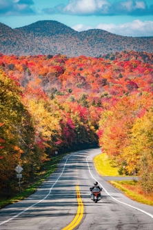 23岁，在大洋彼岸见到此生无憾的秋天