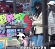 王鸥“孩子谜案”：狗仔、综艺与工作室的“罗生门”大戏