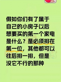 假如你们有了属于自己的小房子以后想要买的第一个家电是什么？