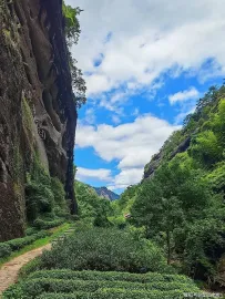 南平自驾5天花5200！8条血泪经验曝光，避坑+必玩全攻略，下次再也不踩雷