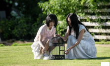 横短新风潮：综艺IP改编短剧？