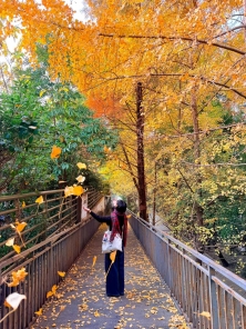 玉林！第一个发现这个机位的人简直是天才！