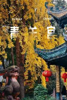 经历三千金秋的青羊宫，不愧为川西第一道观