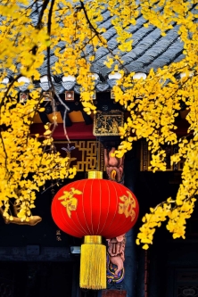 成都青羊宫那最后的一抹黄色！