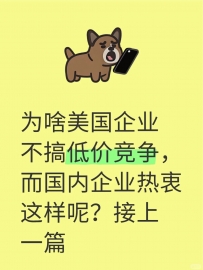 为啥美国企业不搞低价竞争，而国内企业热衷这样呢？
