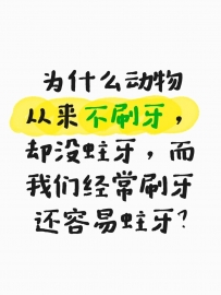 为什么动物从来不刷牙，却没蛀牙