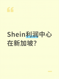 SHEIN新加坡纳税额曝光！