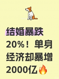结婚暴跌20%！单身经济却暴增2000亿