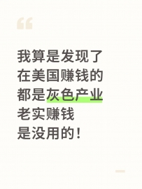 在美国赚钱的都是灰产吗？