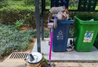 日子过久了才发现：家里最该断舍离的是这6样东西，根本就扔不完