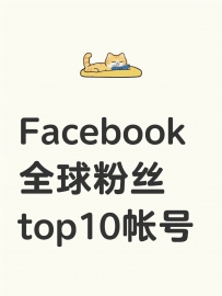 Facebook 全球粉丝top10帐号
