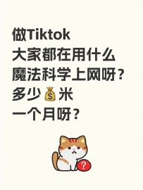 做Tiktok  大家都在用什么魔法科学上网呀？  多少💰米一个月呀？