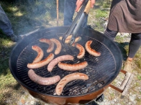 How to travel around Switzerland for free 🇨🇭 | Volunteer for environmental pro