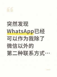 突然发现WhatsApp已经可以作为我除了微信以外的第二种联系方式