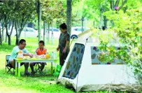 可露营 可野餐 石家庄近千处草坪及林下空间开放共享