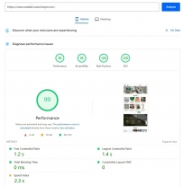 Comparison of WordPress Foreign Trade Independent Station Optimization Plugin