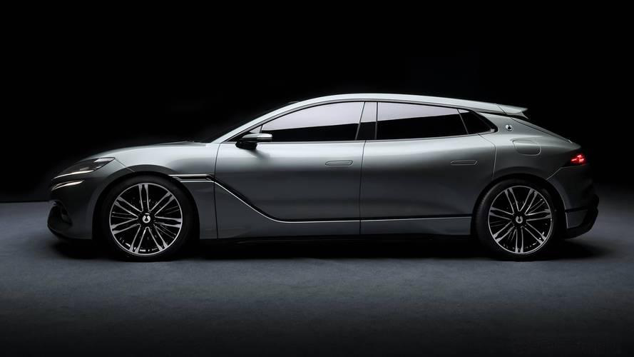 Which brands of new energy vehicles will experience positive growth in the future?-gonglubian